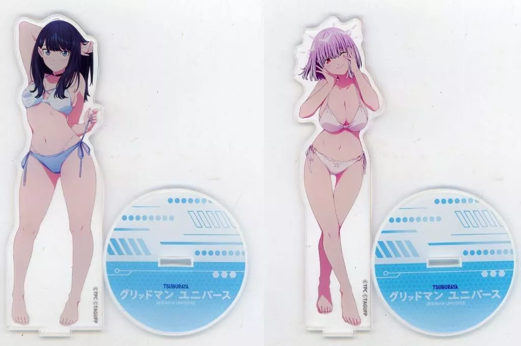 駿河屋 -<中古>全2種セット アクリルスタンド 「どこプラ×くじ