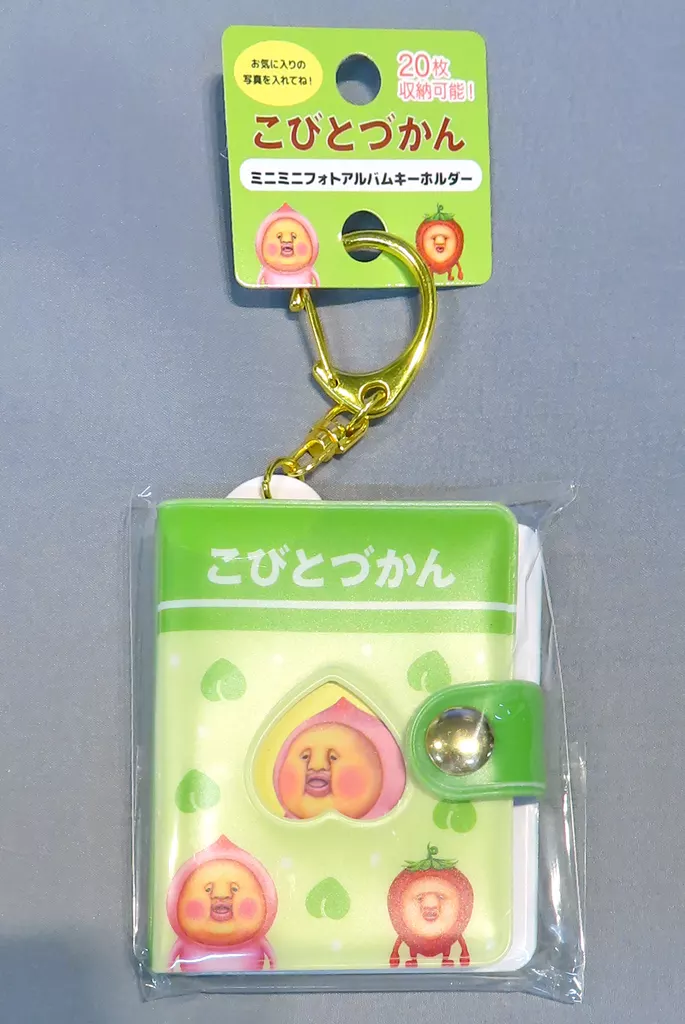 集合 グリーン ミニミニフォトアルバム 「こびとづかん」