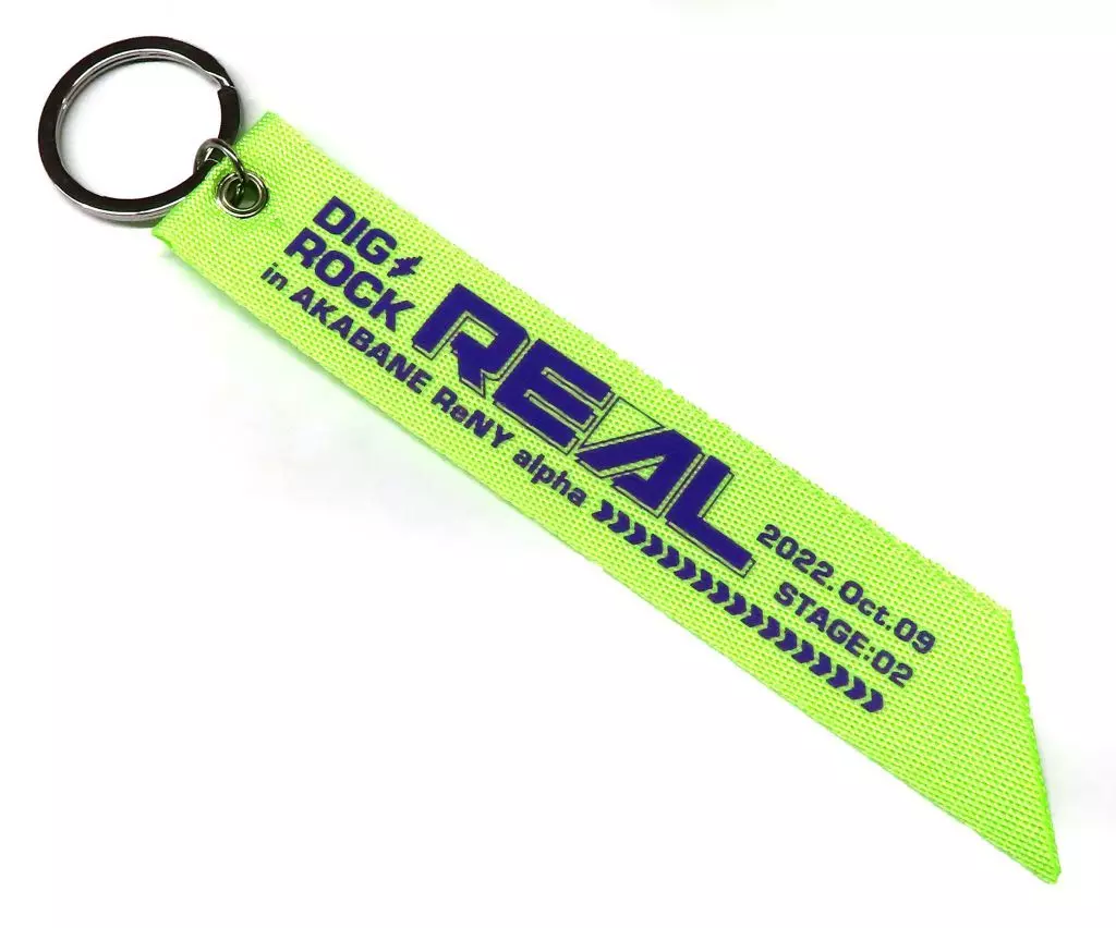 ロゴ リボン 「DIG-ROCK -REAL- in AKABANE ReNY alpha」 チケット購入特典