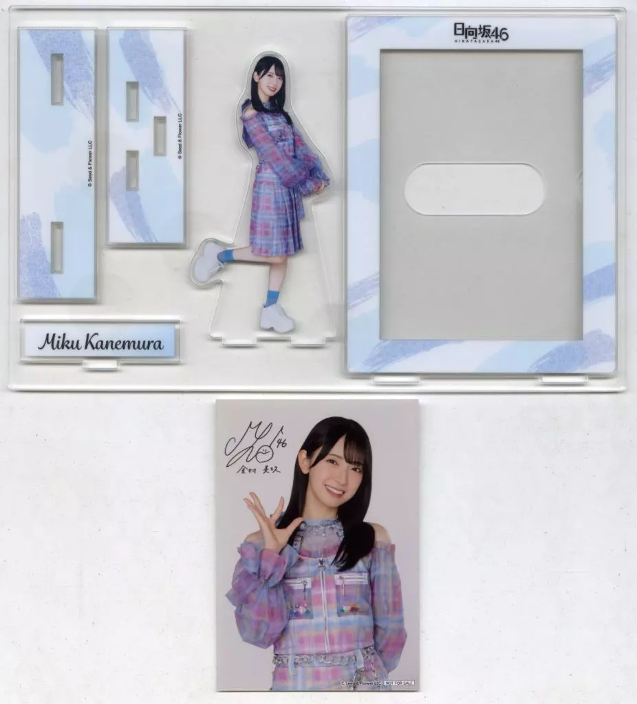 金村美玖(日向坂46) アクリルスタンド+ブロマイド 「櫻坂46・日向坂46×ローソン キャンペーン 2024年10月」 アプリでたまるよスタンプ 個別グッズコース当選品(通知書付き)
