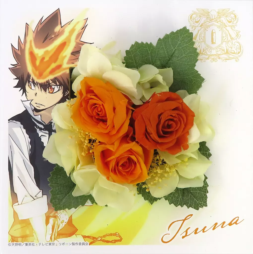 駿河屋 -<中古>沢田綱吉 ウッドフレームアレンジ 「家庭教師ヒットマン