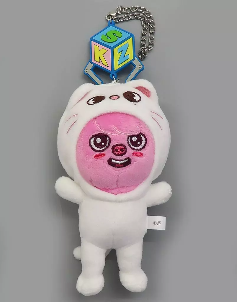 スキズ skzoo dominate 静岡エコパ バッグチャーム パピーム