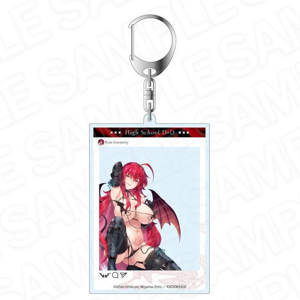 リアス・グレモリー サキュバス＆シスター ver. SNS風アクリル 「ハイスクールD×D」