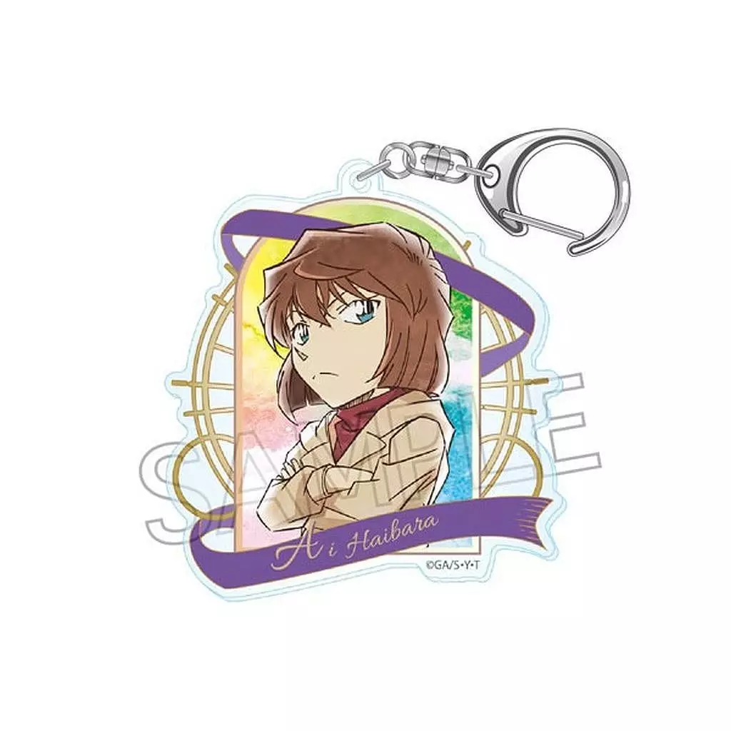 灰原哀 ヴィンテージシリーズ アクリル vol.8 「名探偵コナン」