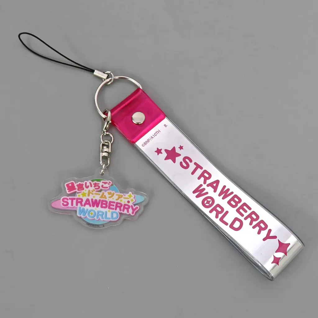 星宮いちご ドームツアーSTRAWBERRY WORLD  「アイカツ! 10th STORY～未来へのSTARWAY～」