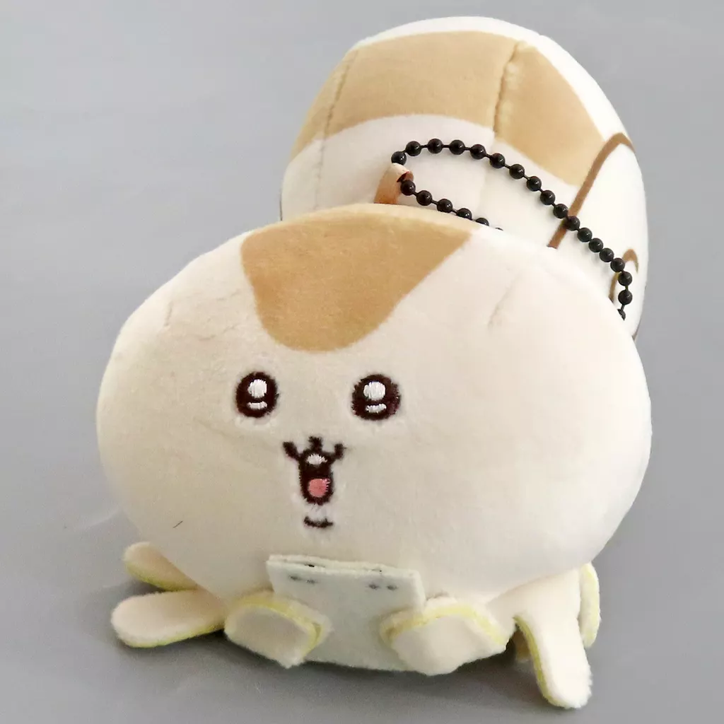 オウムガイ マスコット 「ナガノキャラクターズ」