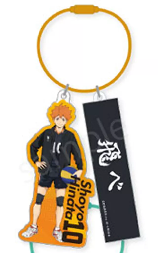 日向翔陽 「ハイキュー!! ランダムワイヤー」