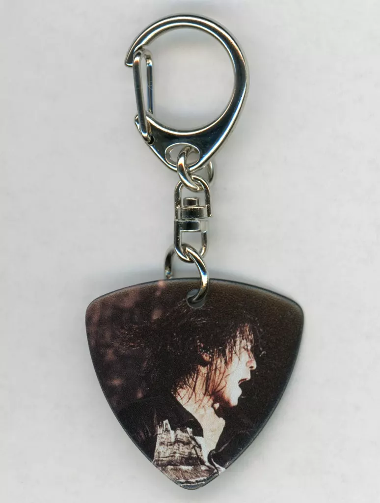 Teru ギターピック型 「『MY FIRST STORY 2024 “express”』 開催記念ラッフルくじ」 D賞