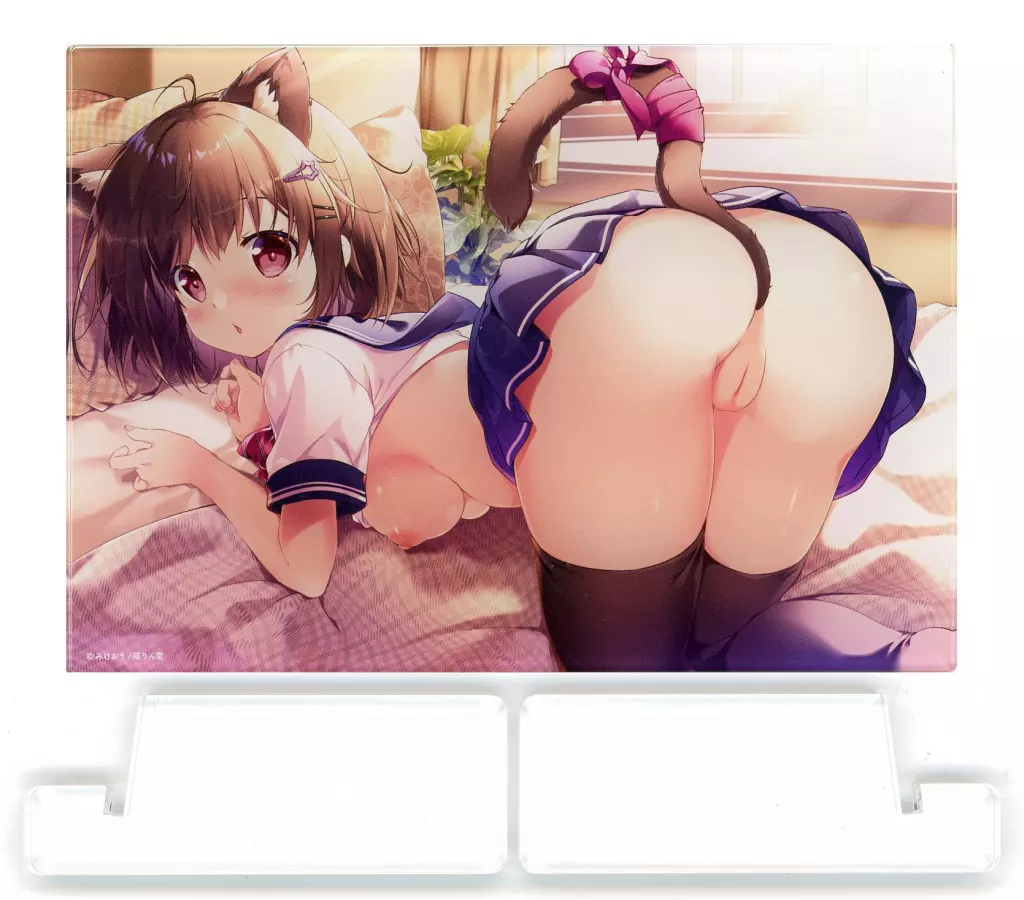 みけおう先生イラスト A6アクリルパネル 「FANZAオンラインくじ 猫りん堂セレクションくじ第2弾 かれいどすこーぷ」 C-2賞_image