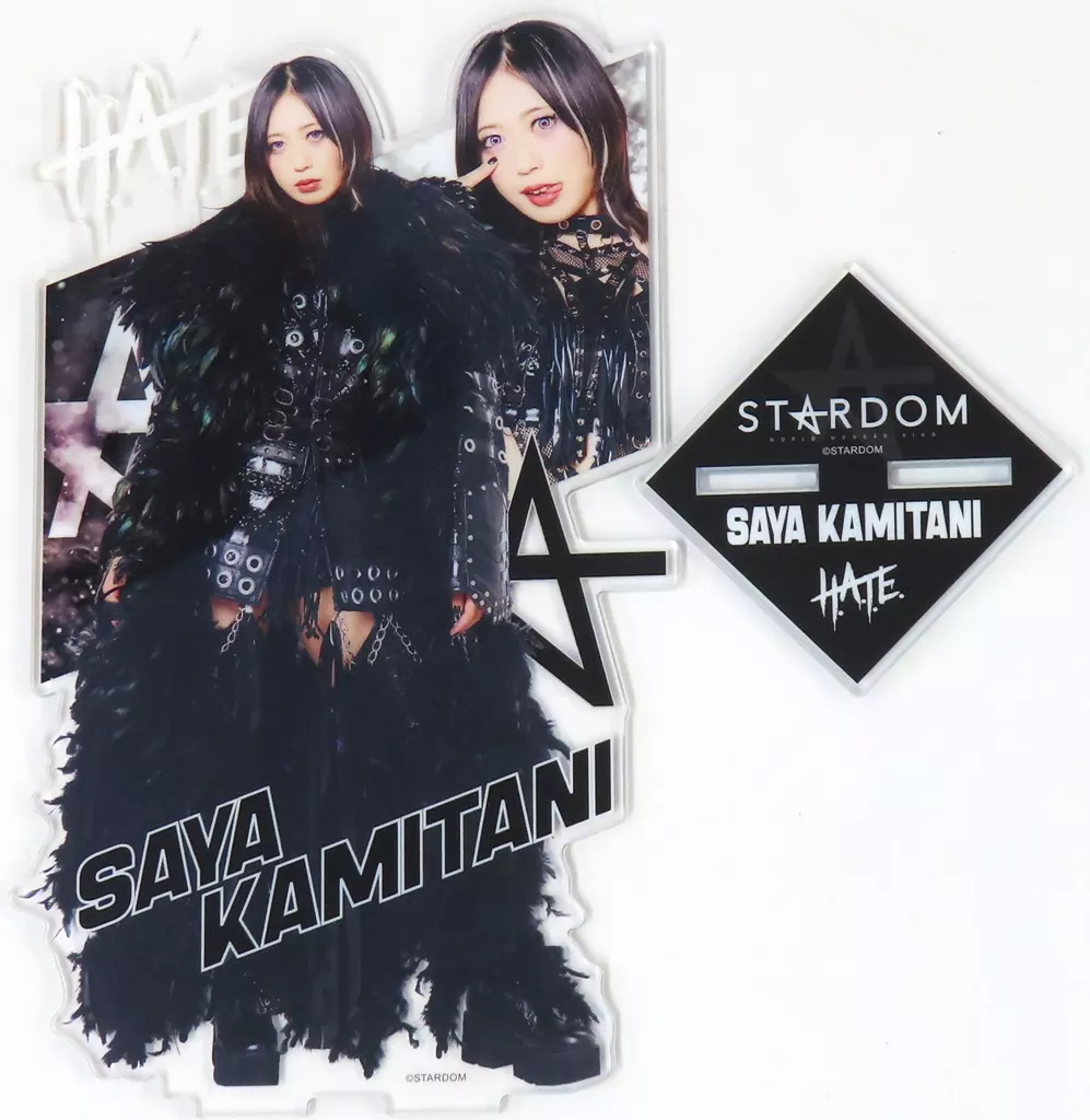 駿河屋 -<中古>上谷沙弥(Queen's Quest) BIGアクリルスタンド 「WORLD