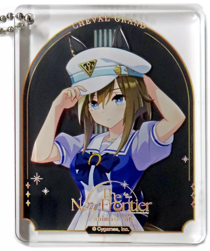 シュヴァルグラン 「ウマ娘 プリティーダービー 6th EVENT The New Frontier×animatecafe出張所 CoLotta(トレーディングアクリルプレート) Bグループ」