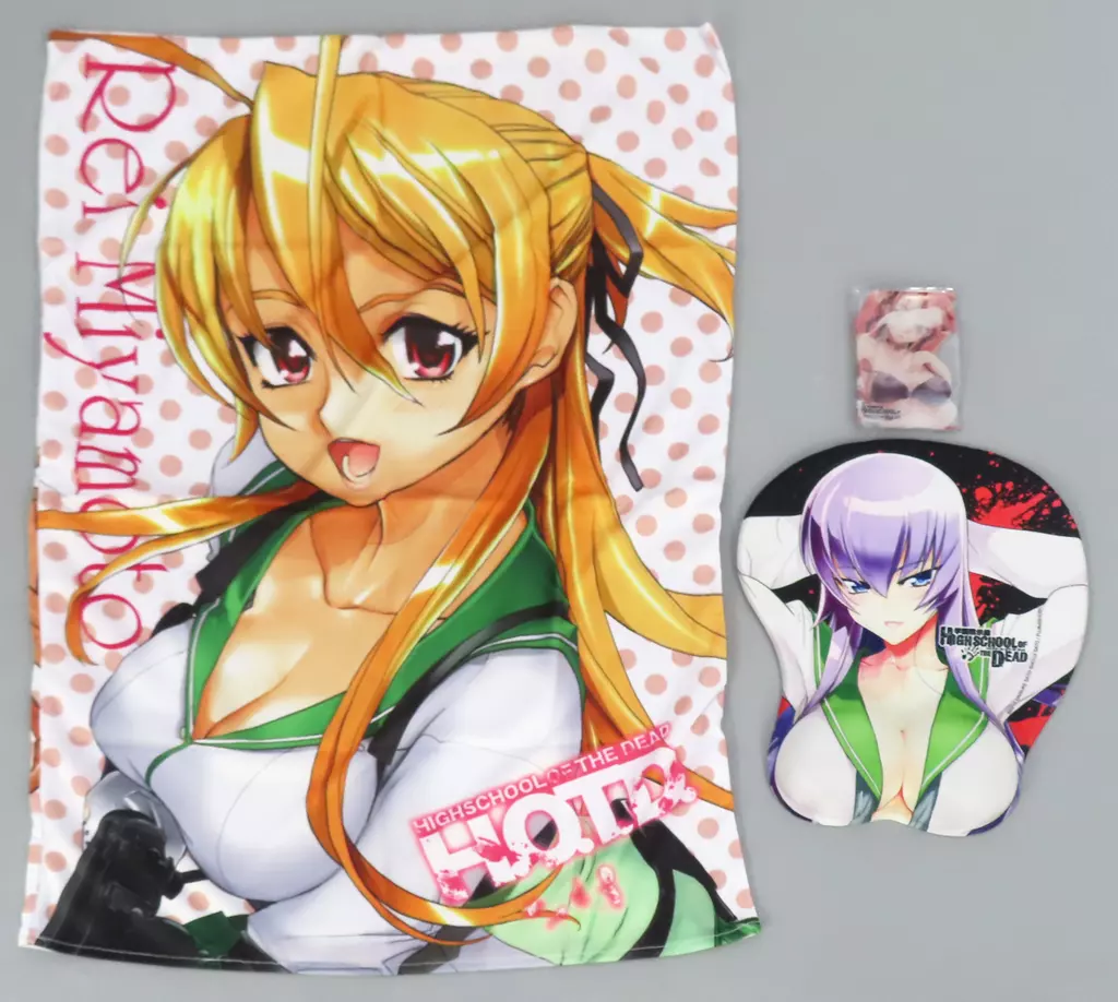 [単品] 高城沙耶/宮本麗/毒島冴子 3大特典セット 「学園黙示録 HIGHSCHOOL OF THE DEAD SECRET BOX」