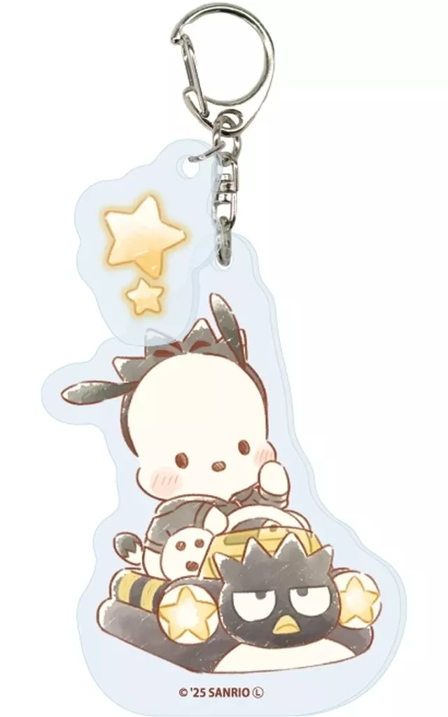 16.ポチャッコ(グラフアートイラスト) パーツ付きアクリル 「サンリオキャラクターズ はぴだんぶい」