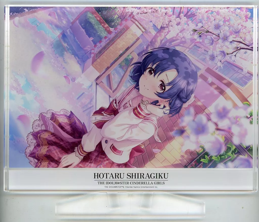 白菊ほたる(ほころぶ春息吹+) アイドルフォトパネル 「アイドルマスター シンデレラガールズ」 アイドルマスターシリーズ×アトレ秋葉原グッズ