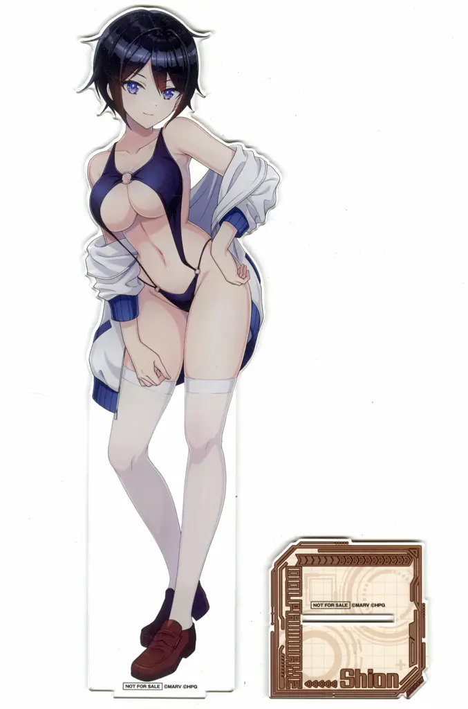 駿河屋 -<中古>住乃絵紫苑 特大アクリルスタンド 「WEBくじ ドルフィン