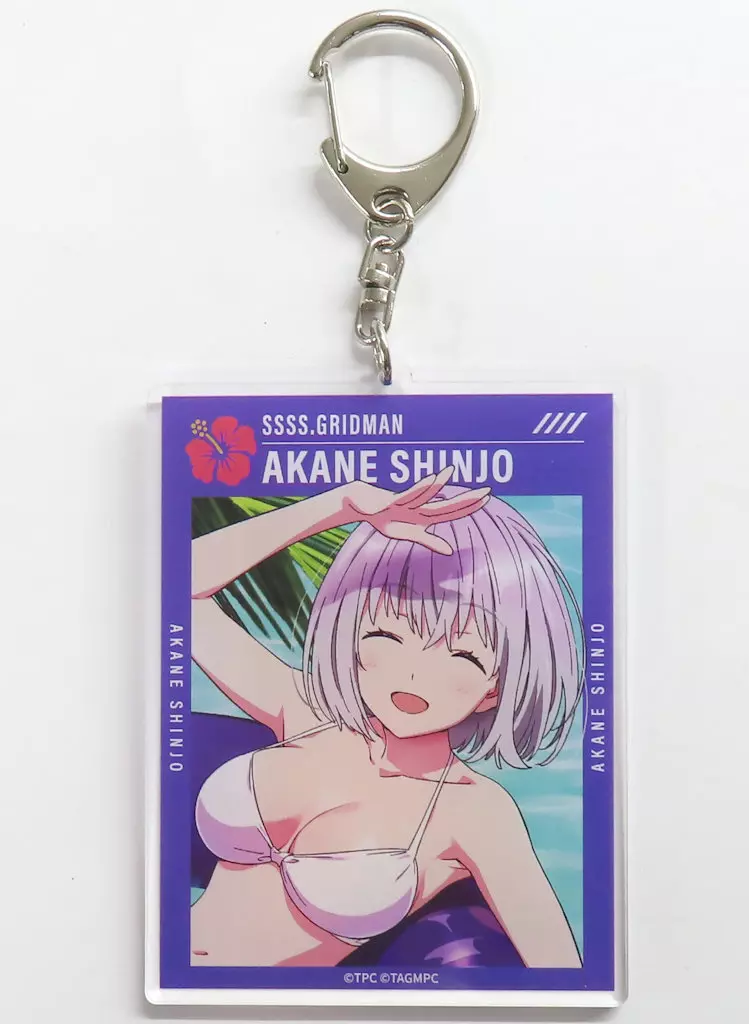 新条アカネB アクリル 「DMMスクラッチ! TVアニメ SSSS.GRIDMAN 水着 スクラッチ」 C-4賞