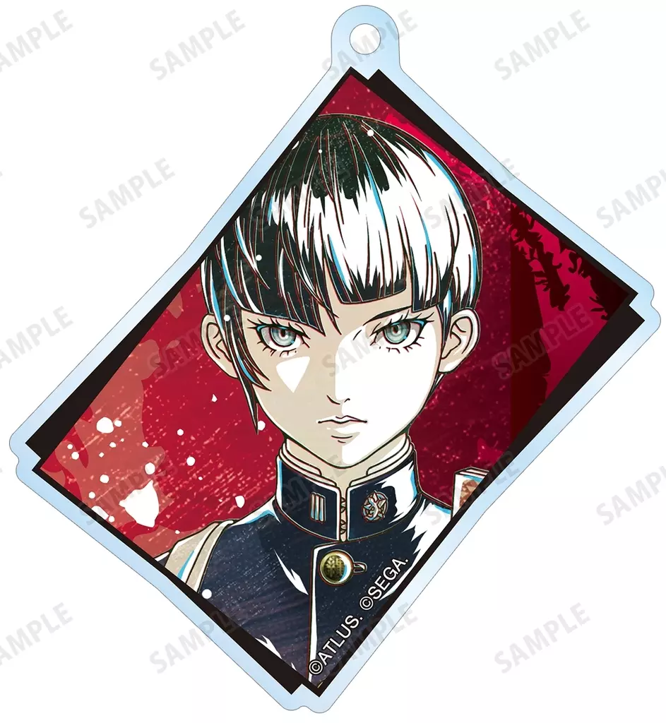 主人公 「真・女神転生V Vengeance トレーディング Ani-Art アクリル」