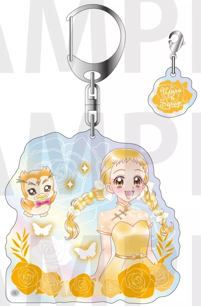春日野うらら＆シロップ オーロラアクリル 「Yes!プリキュア5GoGo!」