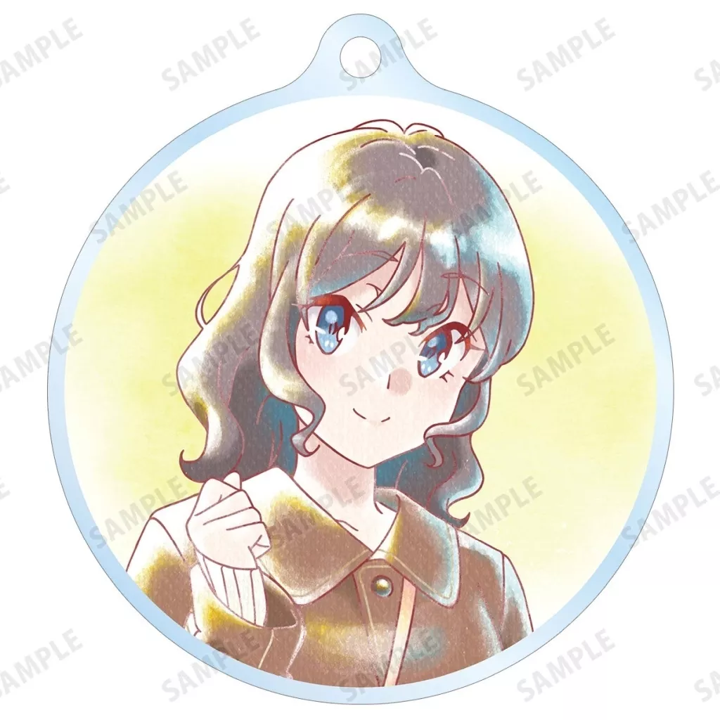 姫路紗良 「青春ブタ野郎はサンタクロースの夢を見ない トレーディング Ani-Art aqua label アクリル」