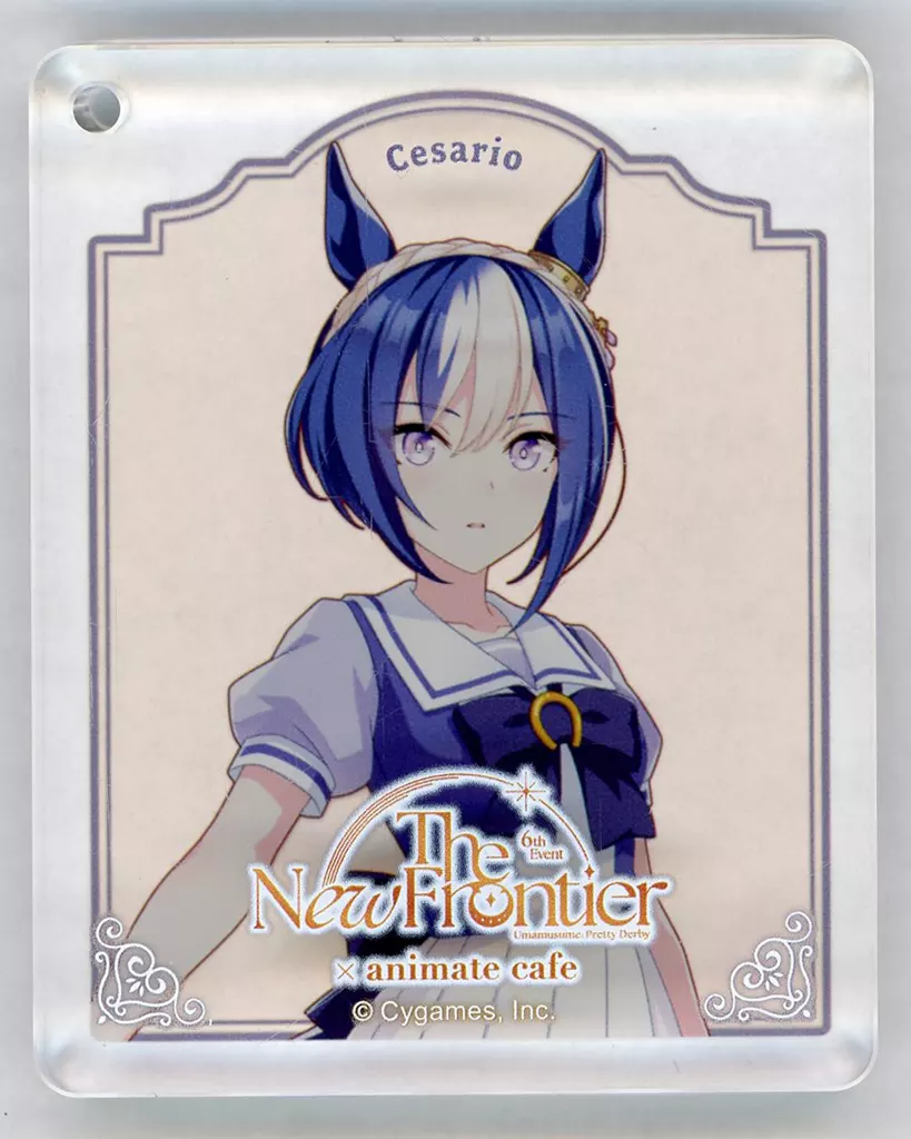 シーザリオ 「ウマ娘 プリティーダービー 6th EVENT The New Frontier 秋公演×animatecafe出張所 CoLotta(トレーディングアクリルプレート) Bグループ」