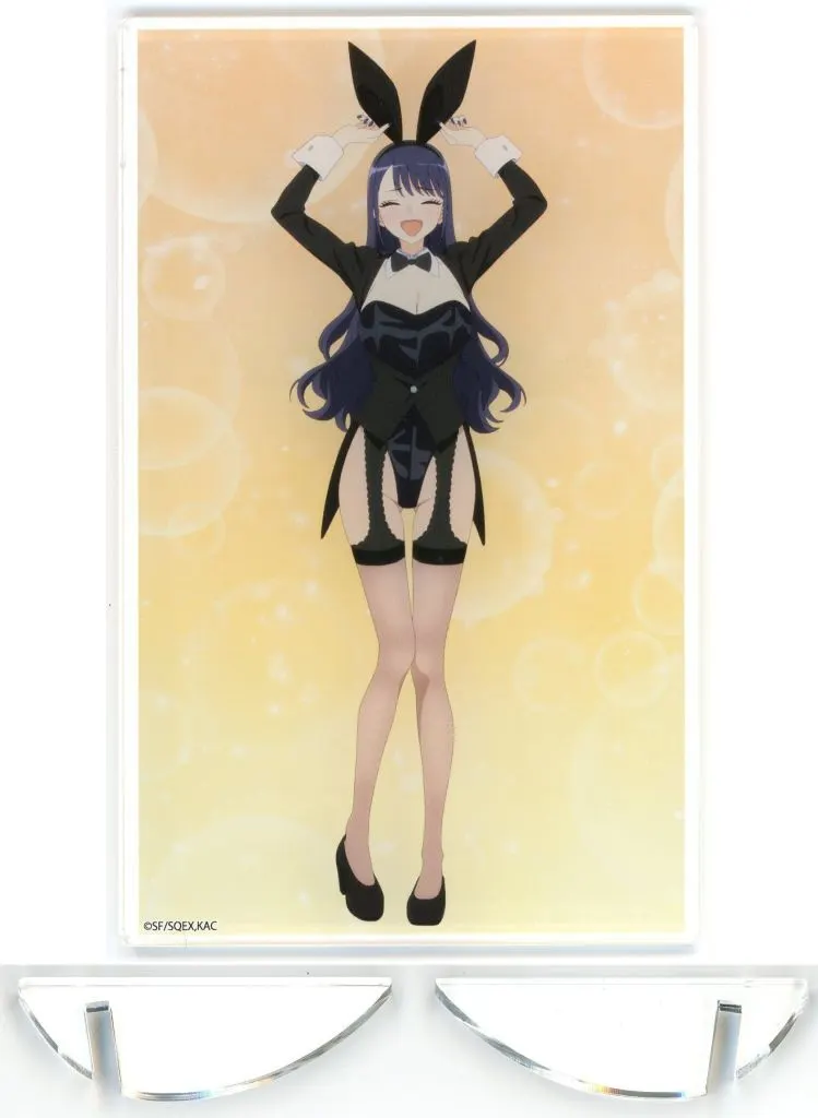 駿河屋 -<中古>C.喜多川海夢(十六夜ありさ/耳持ち) アクリルパネルVol 
