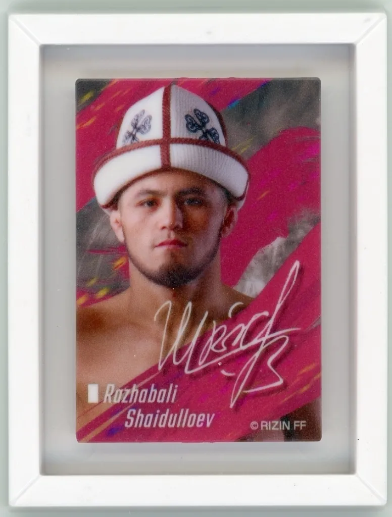 駿河屋 -<中古>ラジャブアリ・シェイドゥラエフ 「RIZIN アート