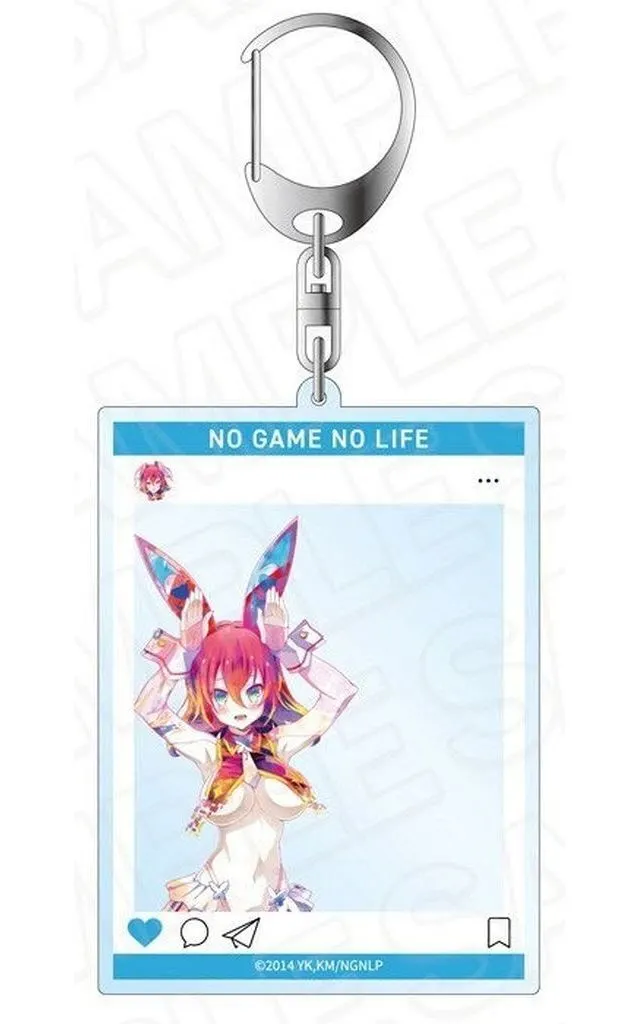 ステファニー・ドーラ(サイバーバニー ver.) PALE TONE series SNS風アクリル 「ノーゲーム・ノーライフ」