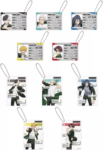 WINDBREAKER プロフィールカードキーホルダー BOX WIND BREAKER』トレーディングプロフィールカードキーホルダー BOX