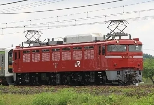 鉄道模型　1/150 EF81形(JR東日本仕様・双頭形連結器付) [7173]