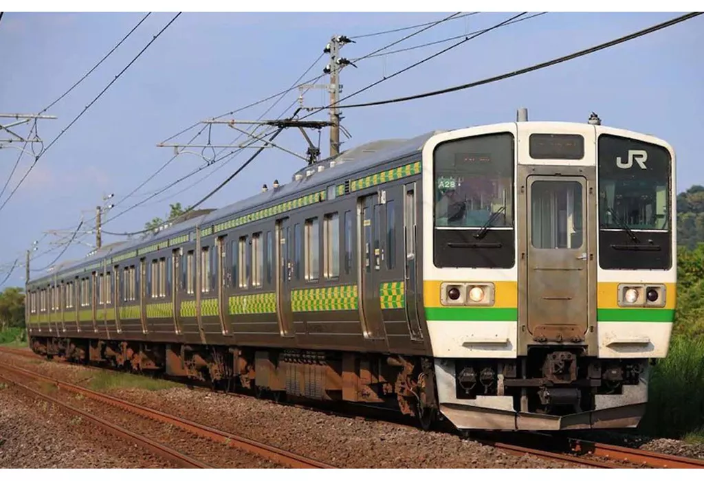 1/150 211-3000系近郊電車(両毛線・矢絣色)セット(4両) [97237]