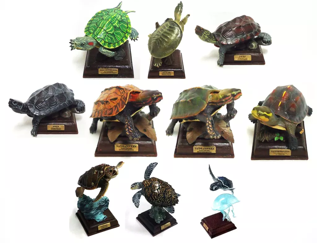 全10種セット 「ネイチャーテクニカラー 日本のカメ」