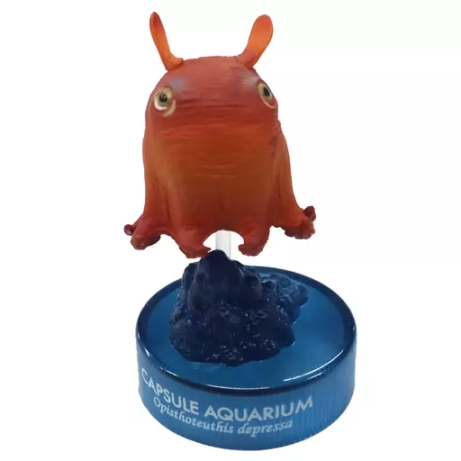 4.メンダコ 「カプセルアクアリウム 日本水族館立体生物図録 第4巻」