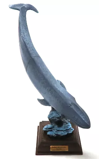 シロナガスクジラ 「ネイチャーテクニカラー 海洋I 第二版」