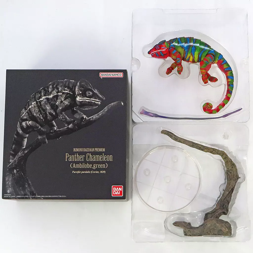 いきもの大図鑑プレミアム パンサーカメレオン(アンビローブ・グリーン) ガシャポンオンライン限定
