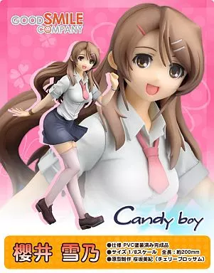 駿河屋 - 【買取】櫻井雪乃 「Candy boy」 1/8 PVC塗装済み完成品