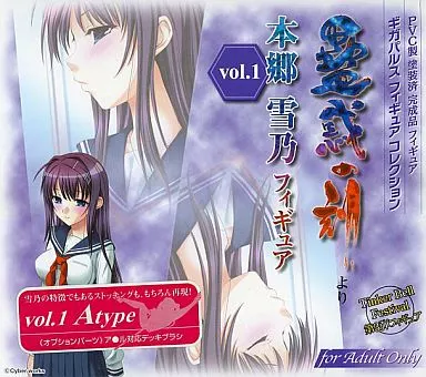 「蠱惑の刻」より 本郷 雪乃 フィギュア vol.1 Aタイプ 駿河屋 -【アダルト】<中古>本郷雪乃 vol.1 Aタイプ 「蠱惑の刻