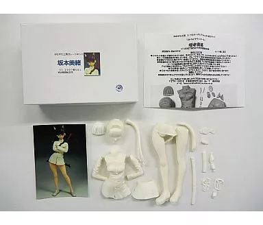 フィギュア　坂本美緒 「ストライクウィッチーズ」 1/7 レジンキャストキット