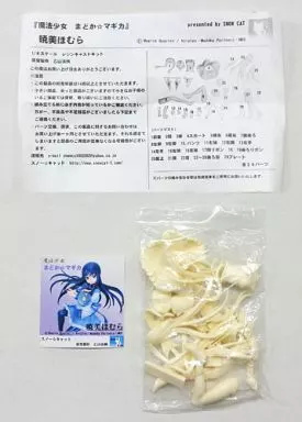 フィギュア　暁美ほむら 「魔法少女まどか☆マギカ」 1/8 レジンキャストキット