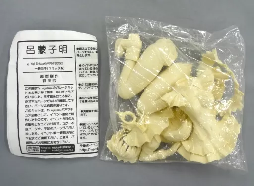 T’s system. 一騎当千 呂蒙子明 コミック版 1/6 ガレージキット 駿河屋 -<中古>呂蒙子明(コミック版) 「一騎当千」 1/6 ガレージキット