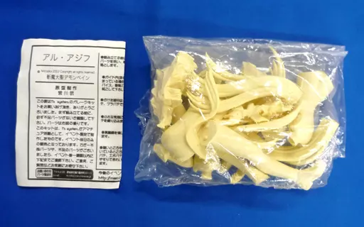 フィギュア　アル・アジフ 「斬魔大聖デモンベイン」 レジンキャストキット