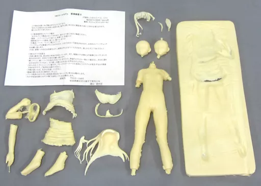 ガレージキット 陽射しの中のリアル 筒美絹香 駿河屋 -【アダルト】<中古>筒美絹香II 「陽射しの中のリアル