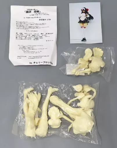 駿河屋 -【アダルト】<中古>藤沢恋樹 ご主人様どうぞver. 「祇音姫ノ館 