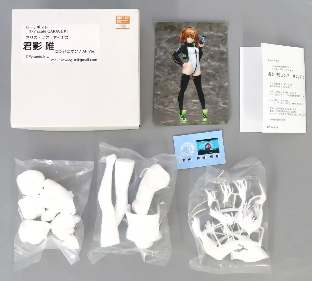 ガレージキット　未組立　アリス・ギア・アイギス 君影唯 コンパニオン 駿河屋 -<中古>君影唯 コンパニオン/AF Ver. 「アリス・ギア・アイギス