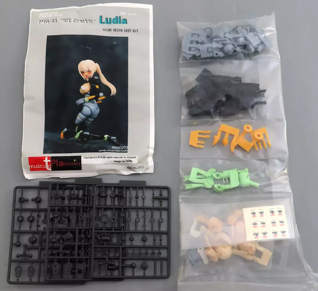 フィギュア　PMG-03 ”Ludia” 「PLAMACHINA」 可動カラーレジンキャストキット