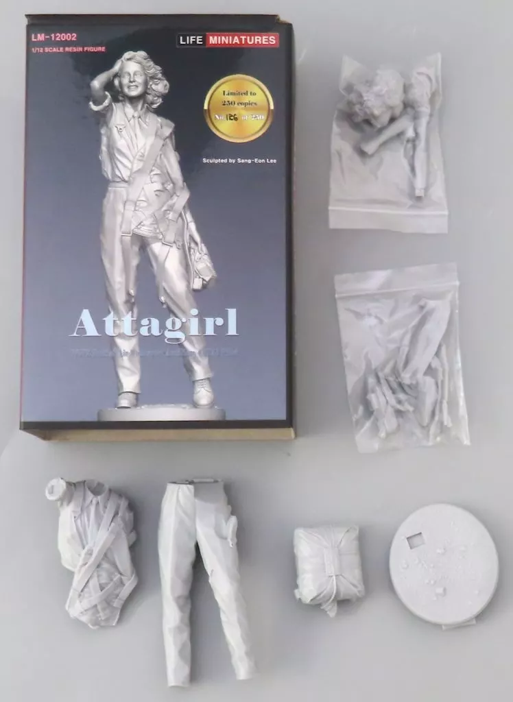 駿河屋 - 【買取】Attagirl WW2 British ATA pilot 1/12 レジン