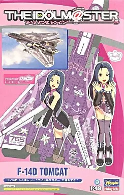 1/48 F-14D トムキャット “アイドルマスター 三浦あずさ”「THE IDOLM＠STER アイドルマスター」[SP270]