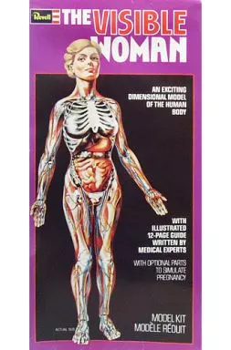 希少 Renwal the visible woman 1960 人体模型 希少 Renwal the visible woman 1960 人体模型