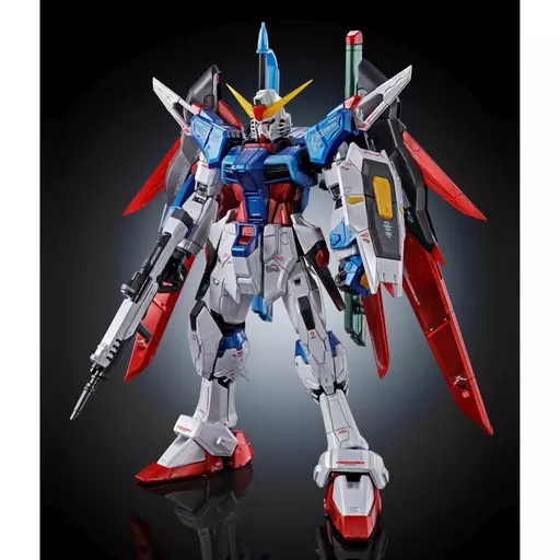 RG 1/144 デスティニーガンダム［チタニウムフィニッシュ］