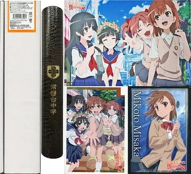 【未使用・未開封】C84限定！サプライセット『とある科学の超電磁砲S』 駿河屋 -<中古>サプライセット『とある科学の超電磁砲S』 C84限定