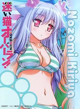 迷い猫オーバーラン スペシャルサプライセット 未開封 霧谷希 スリーブ など Amazon.co.jp: エクセレントモデル 迷い猫オーバーラン! 霧谷 希
